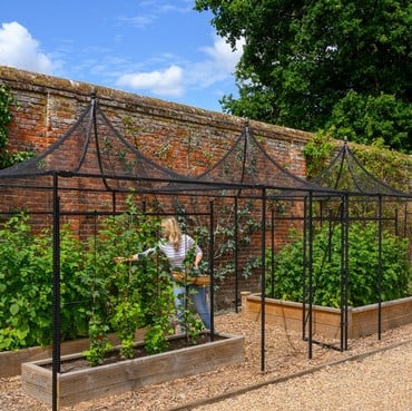 Peak Roof Steel Fruit Cage