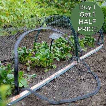 Popadome Crop Protection Tunnel (1.8m x 0.6m) Popadome Crop Protection Tunnel (1.8m x 0.6m)