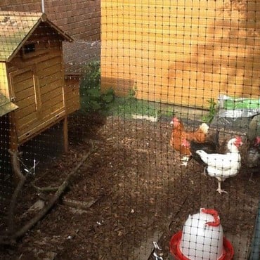 Poultry Extra Heavy-Duty Side Netting