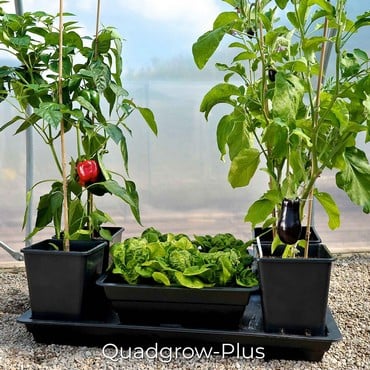 Self Watering Quadgrow Planter Harrod Horticultural