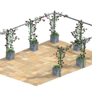 Rose Colonnade Rose Colonnade