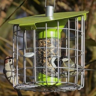 Roundhaus Bird Seed Feeder - Celadon Green