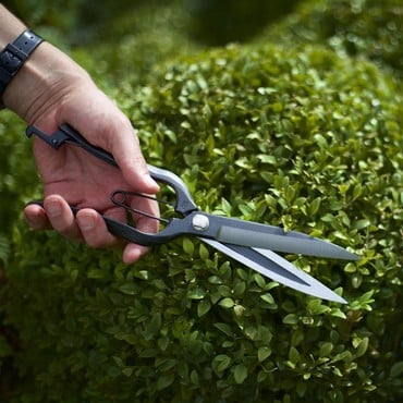 Sentei Topiary Clippers by Niwaki Sentei Topiary Clippers by Niwaki