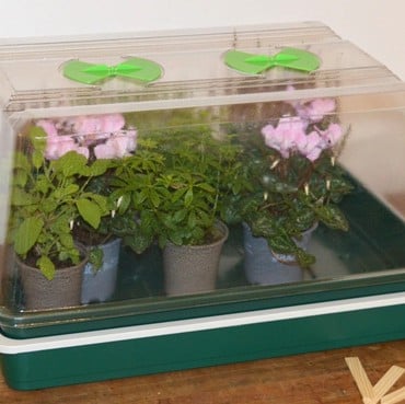 Single High Top Variable Temperature Control Electric Propagator Single High Top Variable Temperature Control Electric Propagator