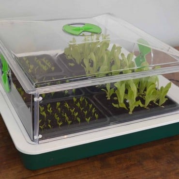 Small Vitopod Electric Variable Temperature Control Propagator Small Vitopod Electric Variable Temperature Control Propagator