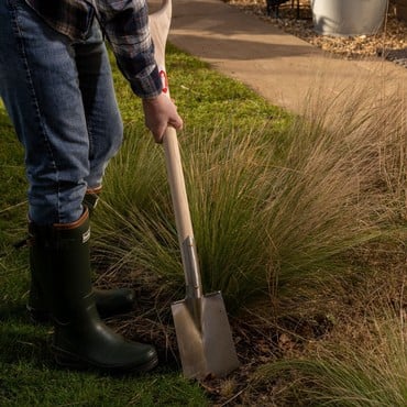 Sneeboer Border Spade with Steps and D-Handle