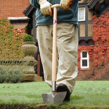 Sneeboer Lawn Edger