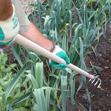 Sneeboer Narrow Long Handled Rake