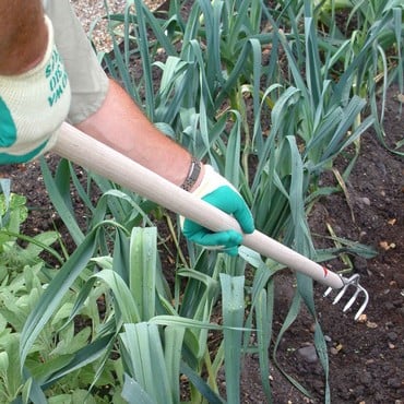 Sneeboer Narrow Long Handled Rake