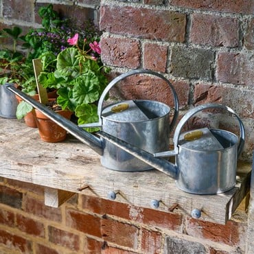Sophie Conran Greenhouse &amp; Indoor Watering Cans
