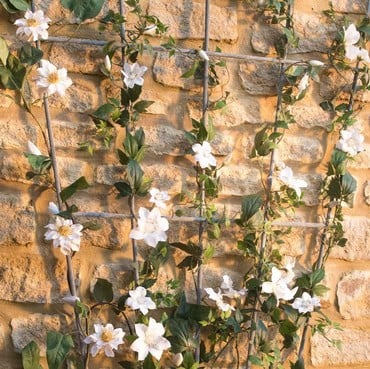 Southwold 5 Finial Fan Trellis Southwold 5 Finial Fan Trellis