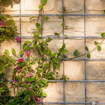 Southwold Decorative Wall Trellis Panels