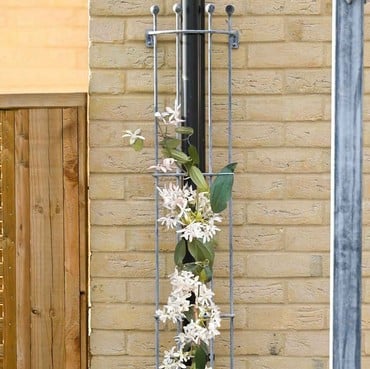 Southwold Drainpipe Trellis Southwold Drainpipe Trellis