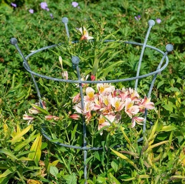 Flower Pot Flower Stem Cutter - Harrod Horticultural