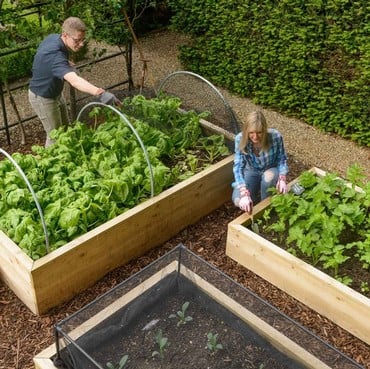 Standard Wooden Raised Beds Standard Wooden Raised Beds