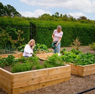 Standard Wooden Raised Beds