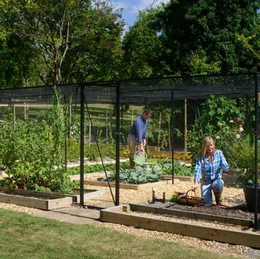 Steel Fruit Cages