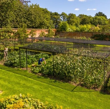 Steel Fruit Cages