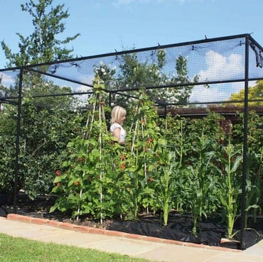 Steel Vegetable Cage with Butterfly Net (2m H)