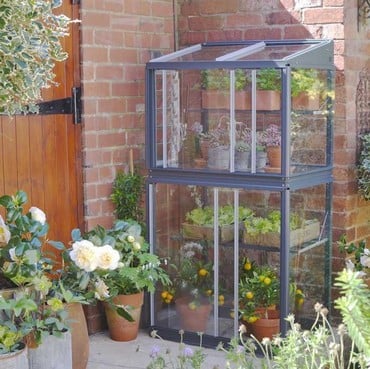 The City Growhouse The City Growhouse