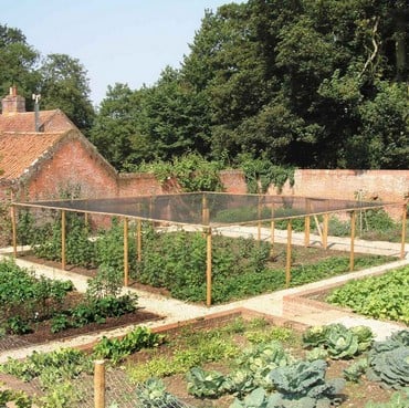 Timber Fruit Cages