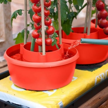 6 X Plant Halos Red Green Watering Halo Ring Tomatoes Grow Bag Tray Cane Support 