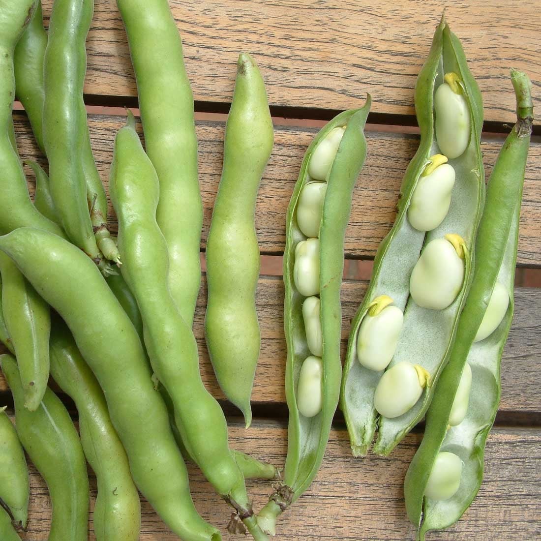 Beans & Peas Beans & Peas