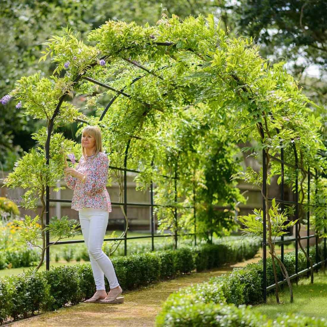 Garden Pergolas Garden Pergolas