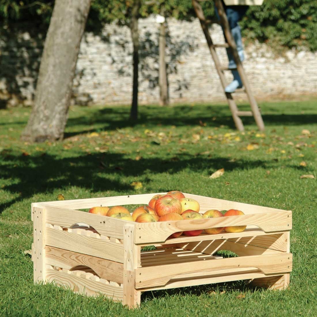 Food Preparation & Storage Food Preparation & Storage