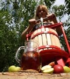 Fruit Presses Fruit Presses