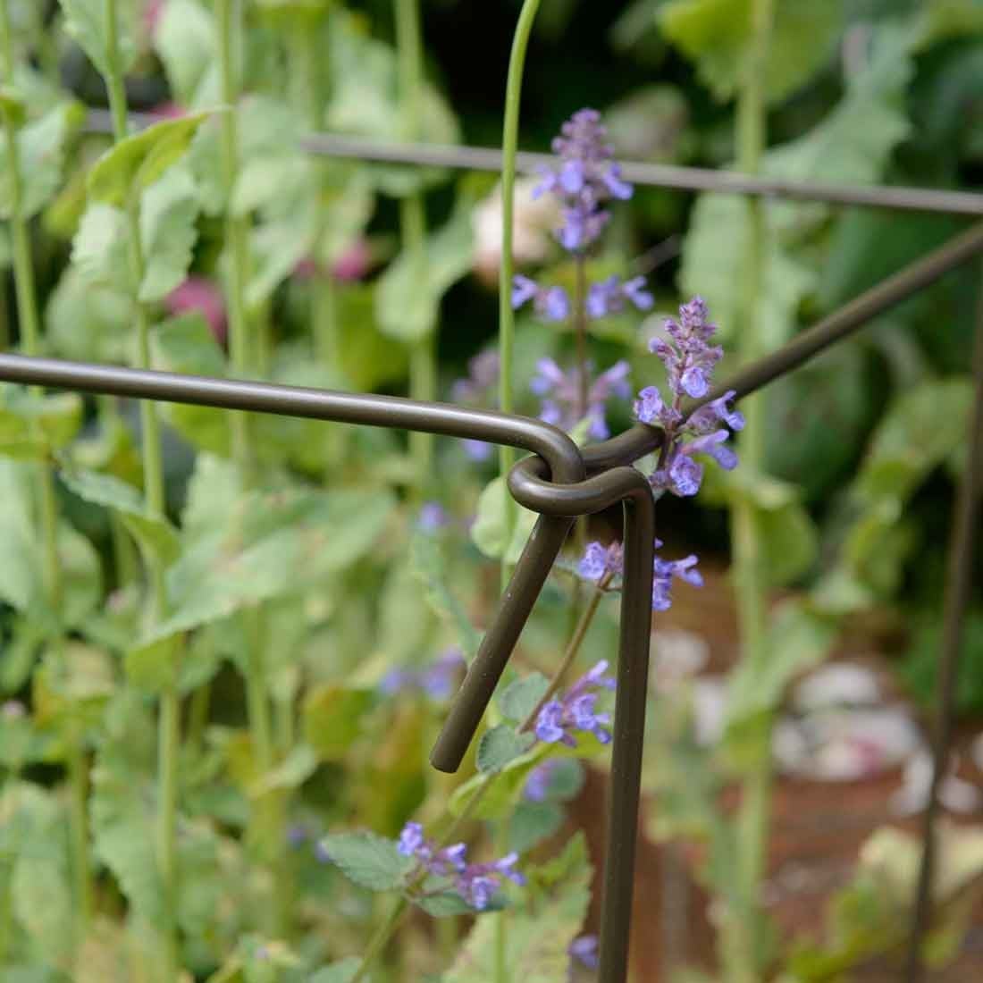 Garden Plant Stakes Garden Plant Stakes