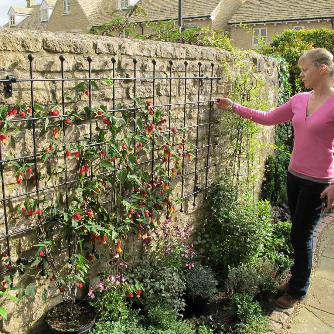 Garden Trellis Garden Trellis