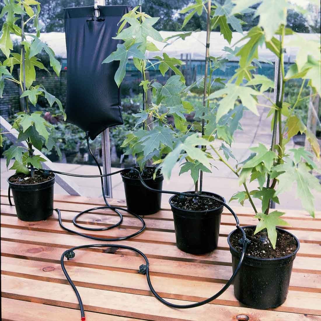 Greenhouse Watering Greenhouse Watering