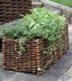 Herb Planters Herb Planters