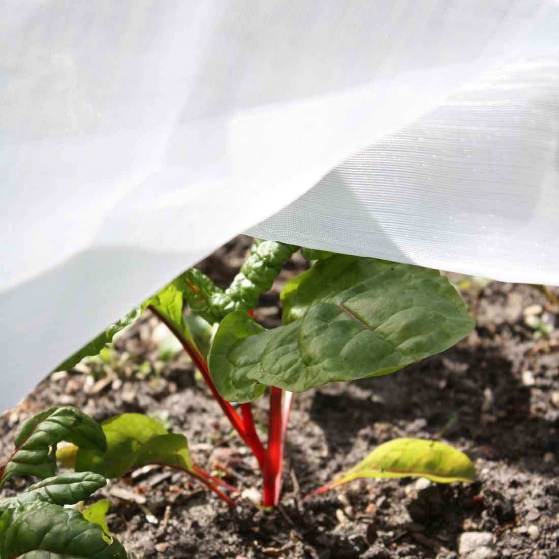 Insect Mesh Netting Insect Mesh Netting