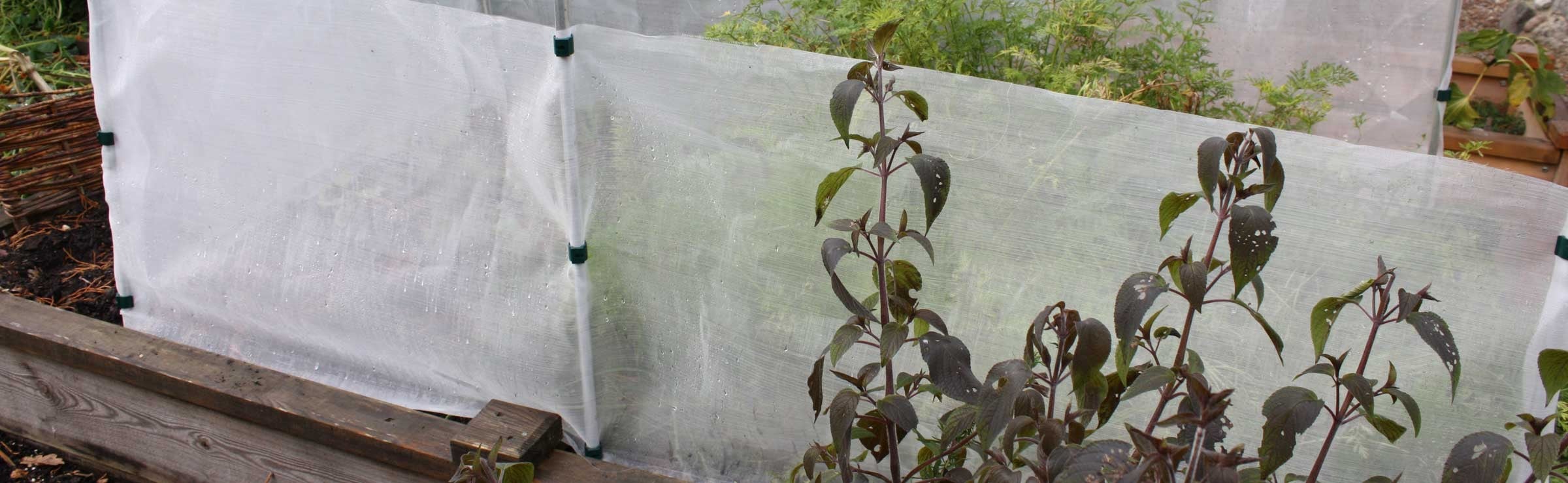 Insect Traps, Barriers & Sprays Insect Traps, Barriers & Sprays