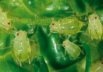 harrods pest Scribd is the world's largest social reading and publishing site. harrods pest Scribd is the world's largest social reading and publishing site.