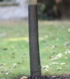 Pest Repellers & Deterrents Pest Repellers & Deterrents