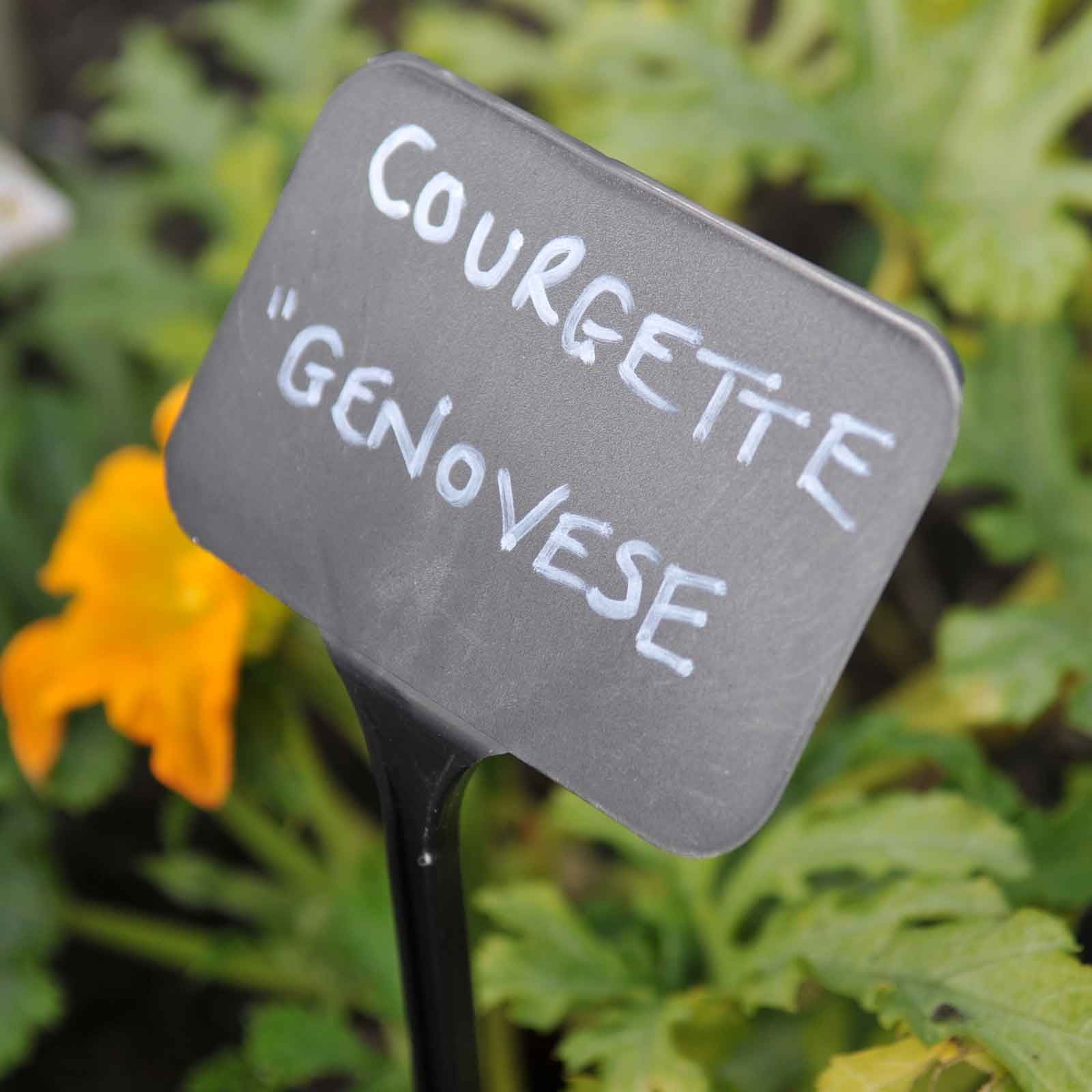 Plant Labels & Markers Plant Labels & Markers