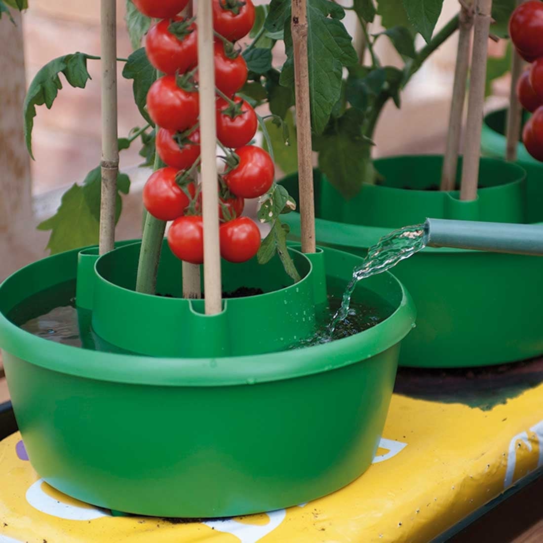 Planter & Growbag Watering Planter & Growbag Watering
