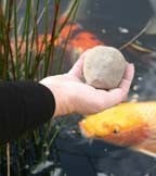 Pond Cleaning Pond Cleaning