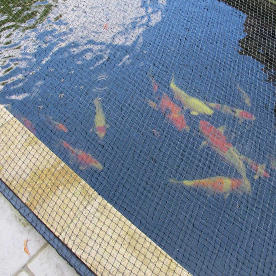 Pond Netting Pond Netting