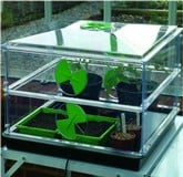 Propagation Propagation