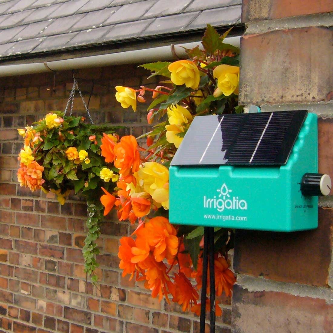 Self-Watering & Automatic Watering Self-Watering & Automatic Watering