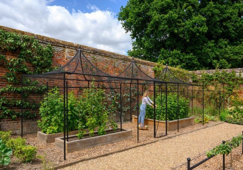 Steel Fruit Cages Steel Fruit Cages