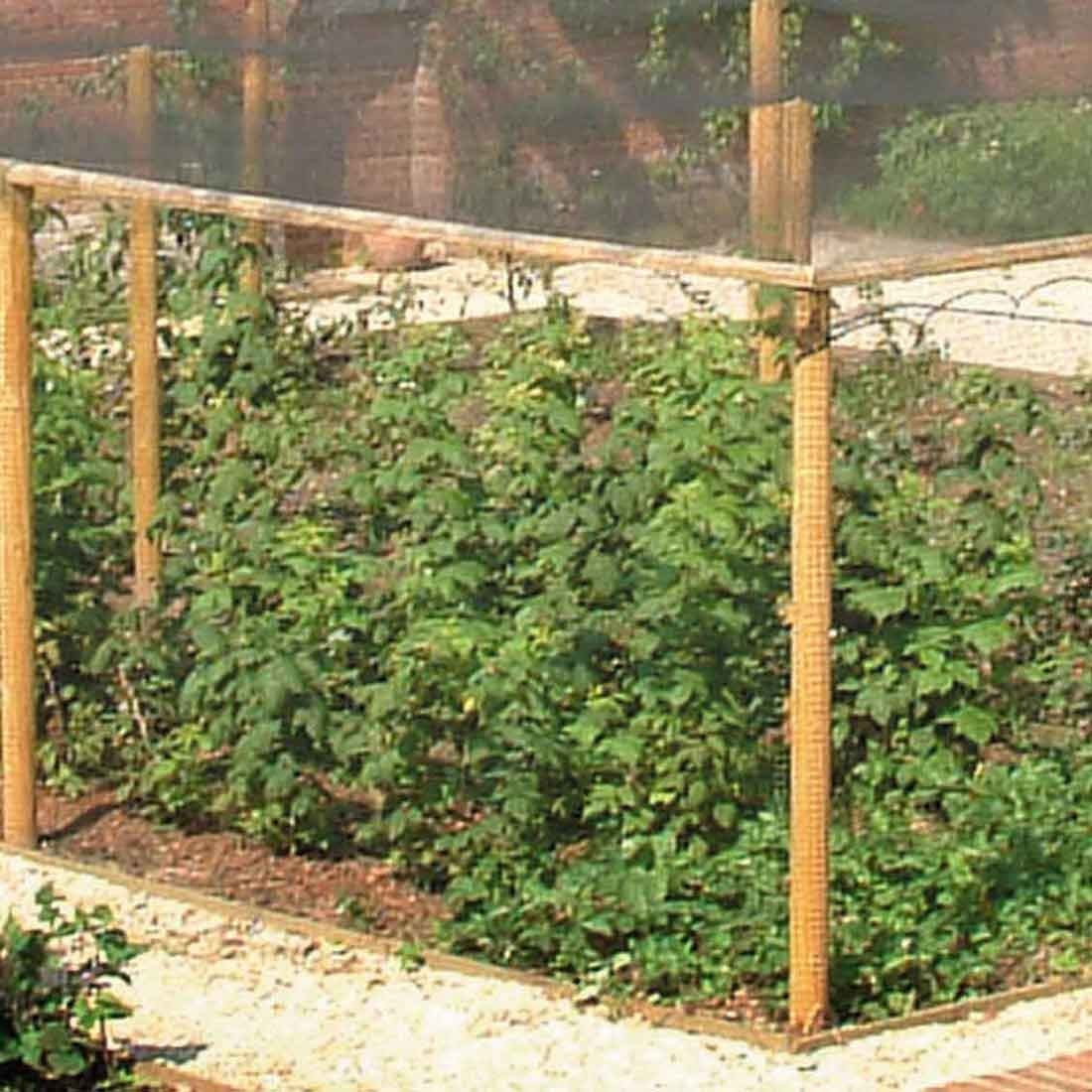 Timber Fruit Cages Timber Fruit Cages