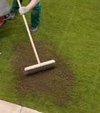 Turf Turf