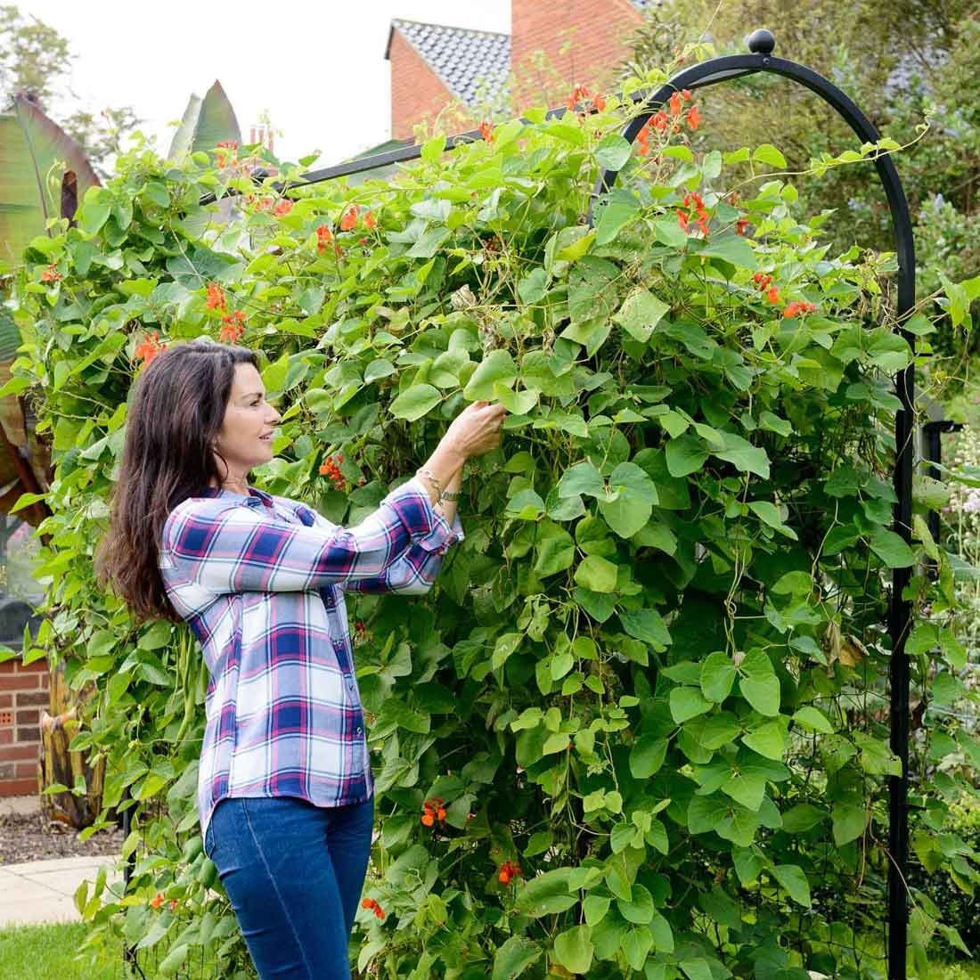 Vegetable Support Frames Vegetable Support Frames