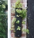Vertical & Wall Planters Vertical & Wall Planters