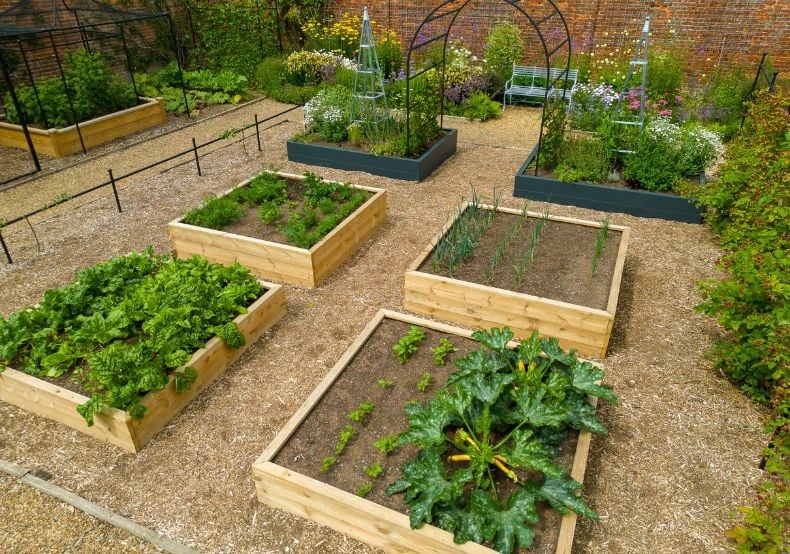 Raised Garden Beds - Buy Online at Harrod Horticultural